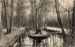 Vincennes CPA a brook