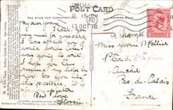 Grande Bretagne Great BRitain CPA a lost cause Andrew Carrick Cow The gallery