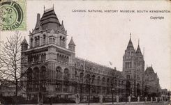 England - England - London - London - Natural History Museum - CPA