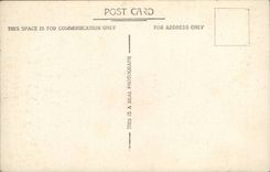 England - England - London - Ludgate Hill - Bravingtons - image bustling with activity - CPA