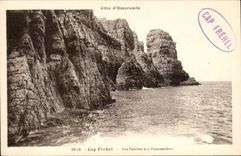 Cape Frehel CPA the cliffs (fauconnery)