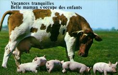 CPM Carte musicale Vacances tranquilles Belle maman s'occupe de ses enfants (vache cochons pigs cow pig)