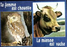 CPM TA femme est chouette La mienne est vache (humour)