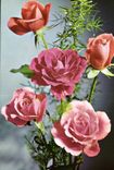 MODERNE KARTE Phantasie-Blume Rose
