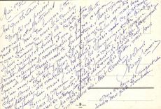 MODERNE KARTE Phantasie bluht Rosen