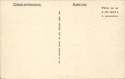 CPA Boat Boat Steamer by heavy weather