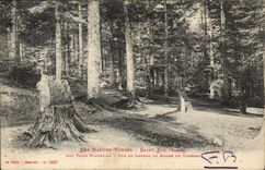 High Vosages - Saint Pie - With the Three Armchairs On the Covered way of Cambert - CPA