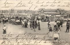 Beck Beach CPA the beach and villas