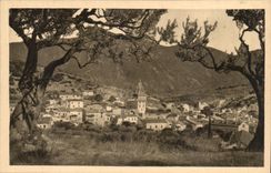 The old man Nyons CPA Considering has atravers the olive-trees