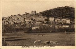 Montbrun lesBains CPA View (sheep)