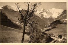 CPA Collar of the high Cross