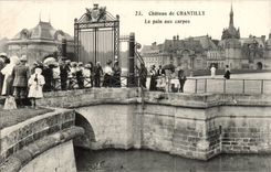 Castle of Chantilly CPA bread with carps