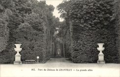 CPA Castle of Chantilly Museum the large alley