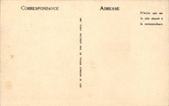 Vichy - Le Parc des Celestins - CPA 