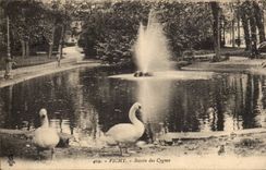 Vichy - Bassin des Cygnes - swan - CPA 