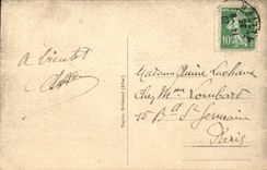 Vichy - Bassin des Cygnes - swan - CPA 