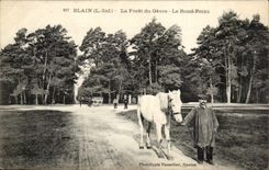 Blain - the Drill of Gavre - Round Not - horse - CPA