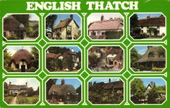 Grande Bretagne Great BRitain CPM English Thatch