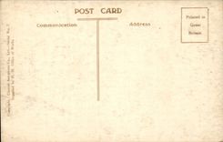 The United Kingdom Great BRitain CPA air view Hampton Court de luxe hotel