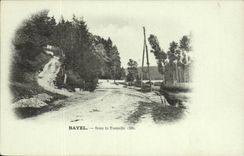 Bayel - Under Arbor CPA