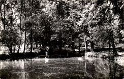 Aix in Orthe - the Park of the fountains - sight on a Pond - CPA
