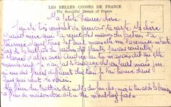 Orleans - View on the Loire - CPA