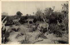 CPA Galleries of the duke of Orleans (hinds)