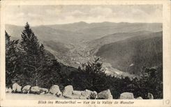 Blick ins Munsterthal CPA Seen of the valley of munster