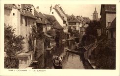 Colmar CPA Lauch