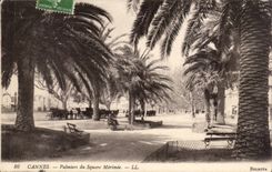 Cannes CPA Palm trees and MErimee public garden