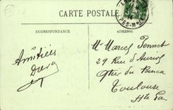 Cannes CPA Palm trees and MErimee public garden