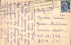 Nettes - Andenken von Nizza - CPA