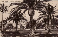 Nette - Garden Albert - Palmen - CPA