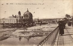 Nettes CPA der Gaumen des Piers und der Moven