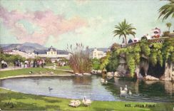 Netter CPA allgemeiner Garten