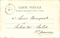 Cannes CPA Palm trees Boulevard of the small cross