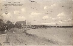 Cannes CPA Boulevard of the Small cross gulls and CArlton