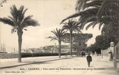 Cannes CPA Seen between the palm trees Boulevard of the Small cross