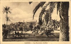 Cannes - New Gardens - CPA