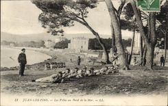 Juan the CPa Pines villas at the seaside