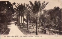 Cape of antibes CPa Eilenroc Villa Allee of palm trees