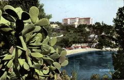 CPA Cape of garlic the Mala beach and Eden