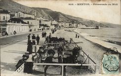 Menton - Walk of the South - CPA Ass donkey mule