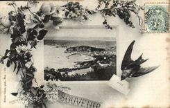 Nette CPA Andenken (Schwalbe)