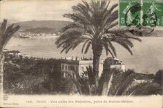 Nettes CPA gesehen zwischen die Palmen Sainte genommen von Helene