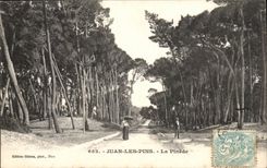 Juan Pines - the Pine forest - CPA