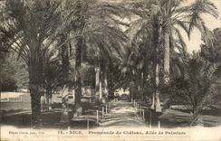 Nett - Weg des Schlosses - Allee der Palmen - CPA