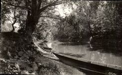 Vouvray les Vins Bords de la Cisse - CPA 