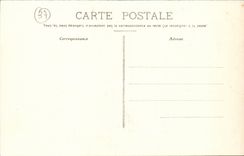 Rigny Usse - Le Chateau et les Terrasses - CPA 