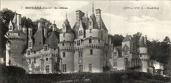 Rigny - Usse - Le Chateau - CPA 